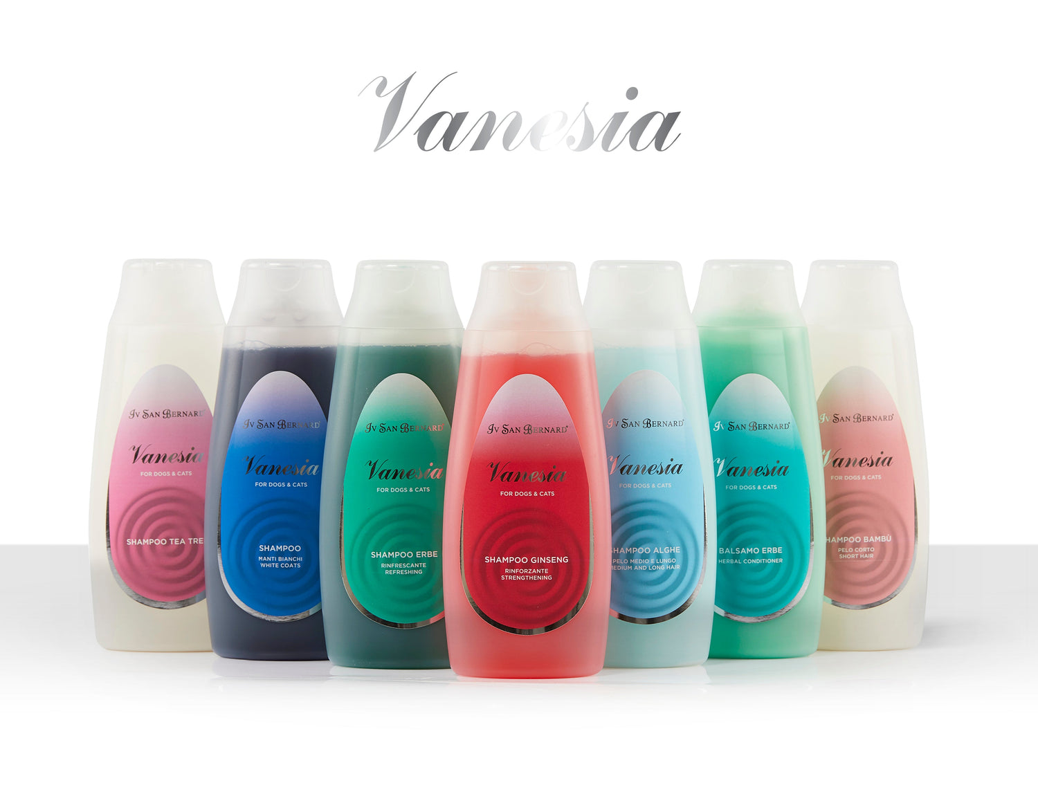 VANESIA LINE