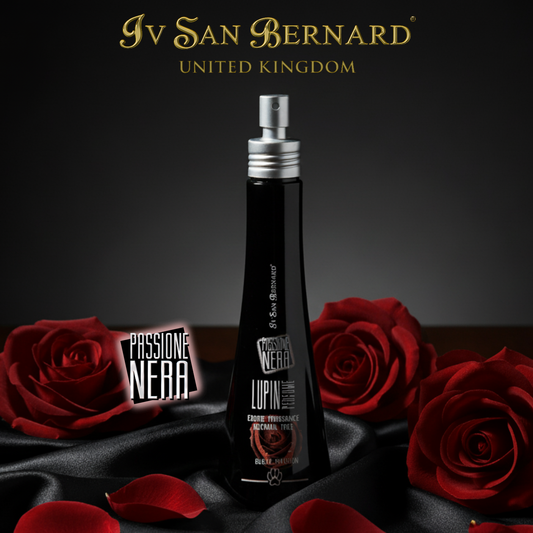 BLACK PASSION LUPIN NON ALCOHOL PERFUME