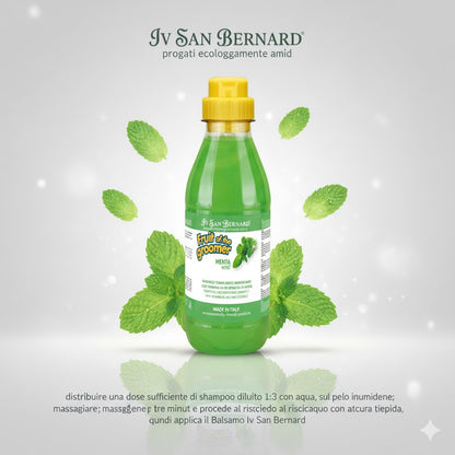 MINT SHAMPOO