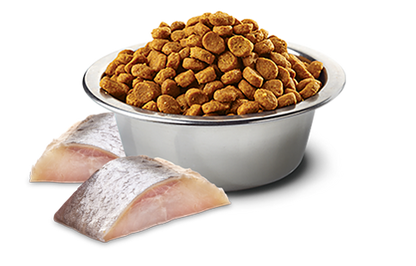 Farmina Dog N&D HERRING, SPIRULINA AND WOLFBERRY ADULT-7kg[法米娜N&D鲱鱼螺旋藻配方-成犬粮7kg] image 1