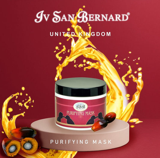 ISB TECHNIQUE PURIFYING MASK DETOX 500 ML