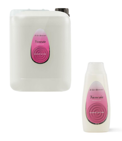 VANESIA - TEA TREE SHAMPOO