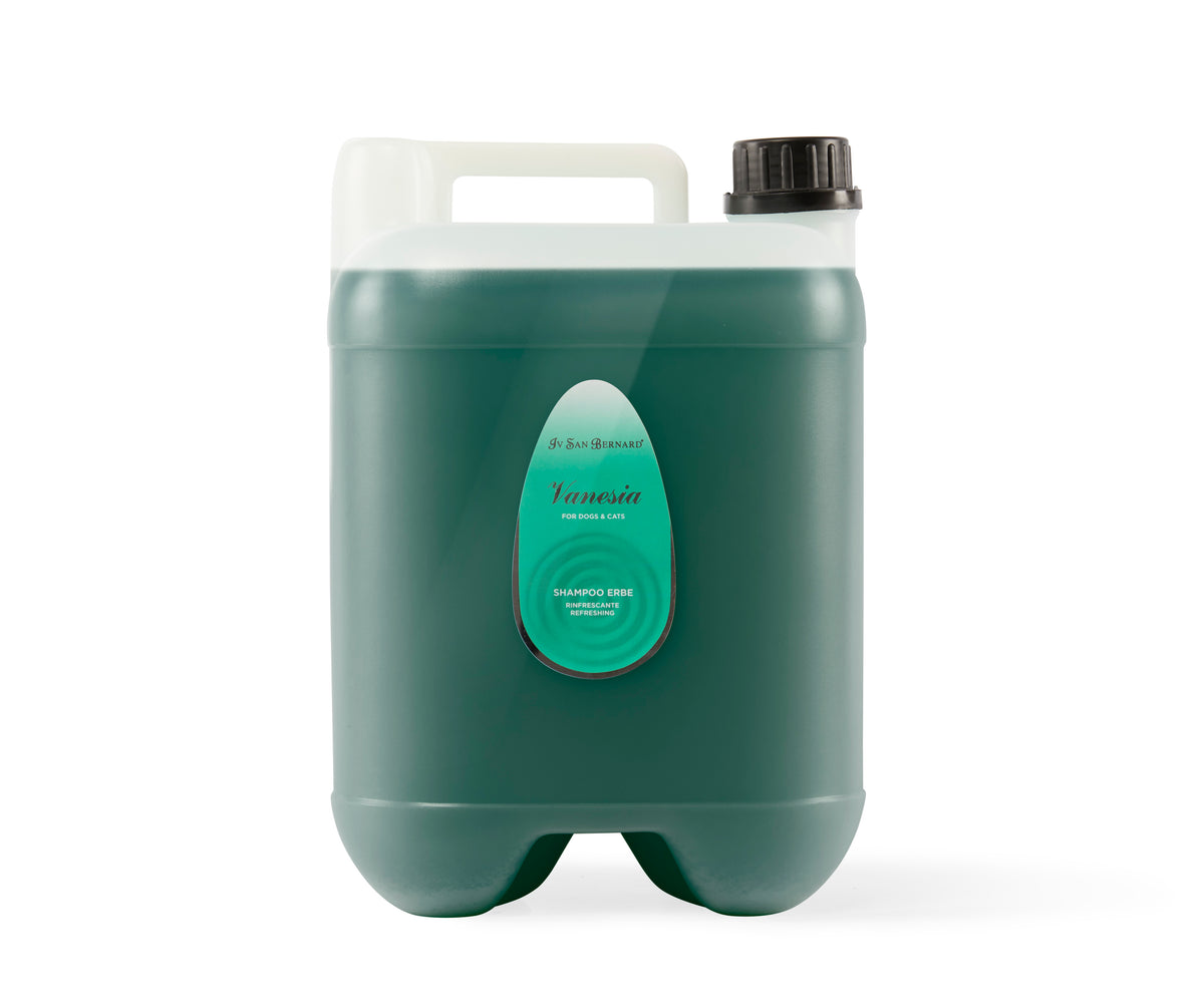VANESIA - HERB SHAMPOO