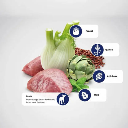 Farmina Dog N&D Quinoa Digestion Adult[法米娜N&D藜麦系列消化保健羊肉配方-成犬粮] image 2